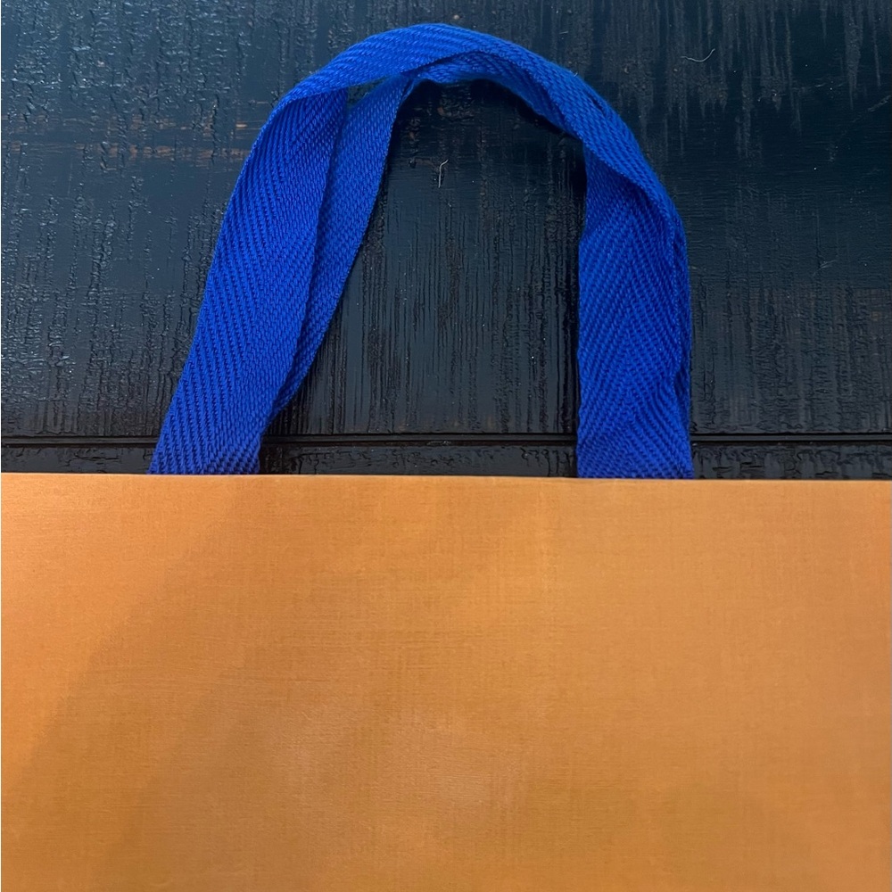 Louis Vuitton 10” x 14” shopping bag. Good condition.  From Paris. - Picture 4 of 7